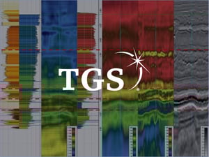 Case study_tgs_with logo